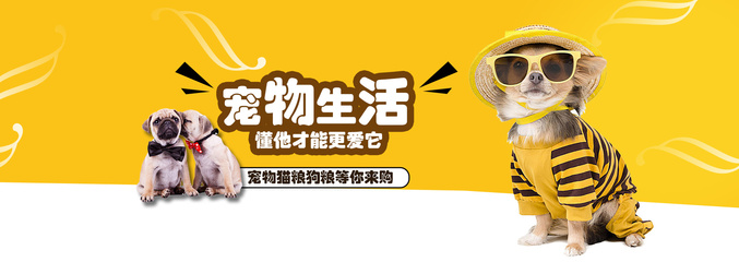 2025天天彩免费资料大全